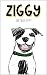 Ziggy, the Silly Pitty by Erinn Foglesong