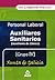 Auxiliares sanitarios (auxi...