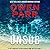The Unsub Lib/E (Joey Mancuso, Father O'Brian Crime Mysteries Lib/E, 7)