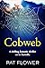 Cobweb: A chilling domestic...