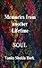 Soul, Memories from another Lifetime by Vanita Shukla Hork