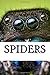 Spiders