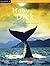 Moby Dick (Colección Kalafate) (Spanish Edition)