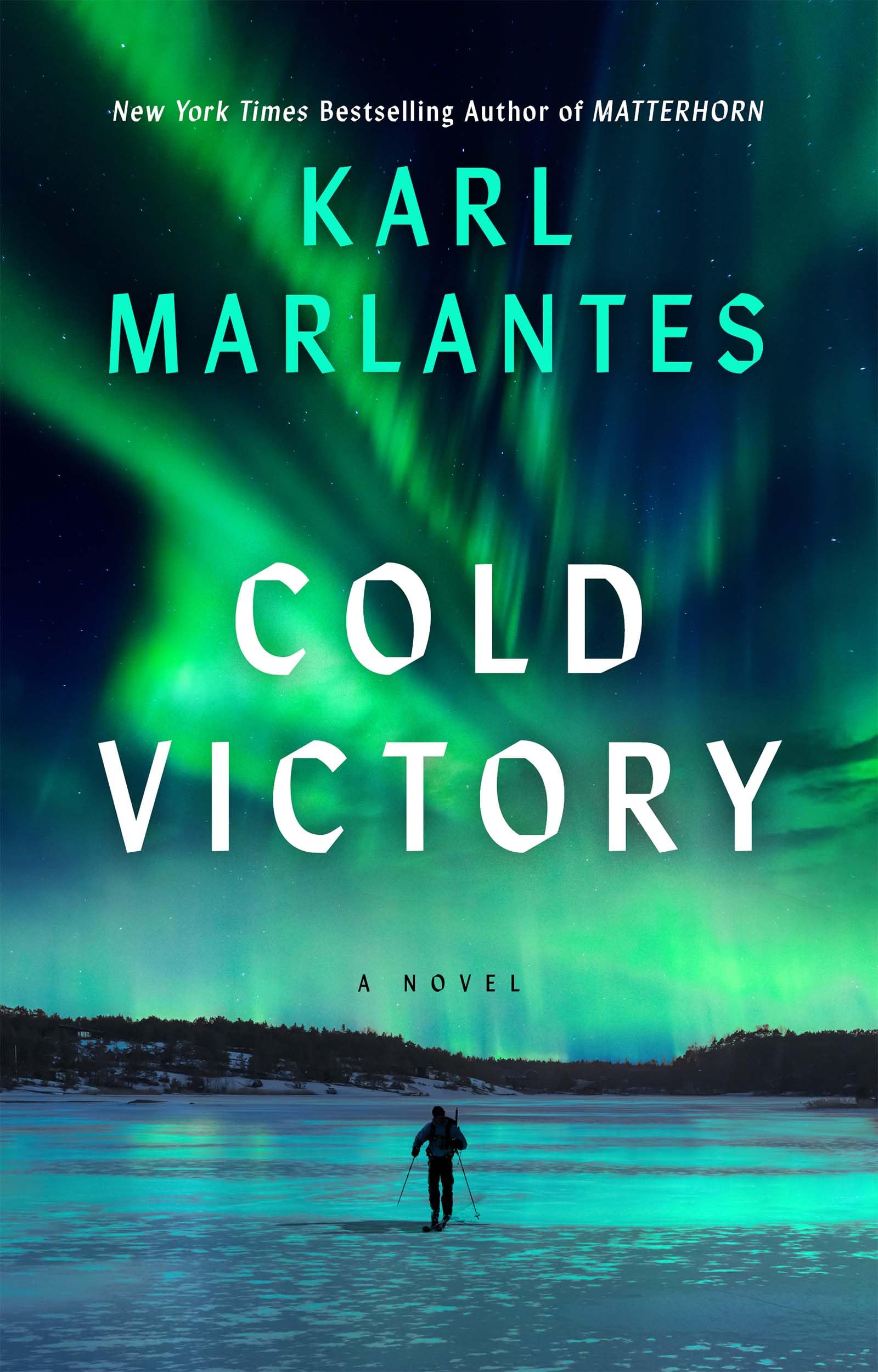 Cold Victory (Hardcover)