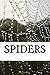 Spiders