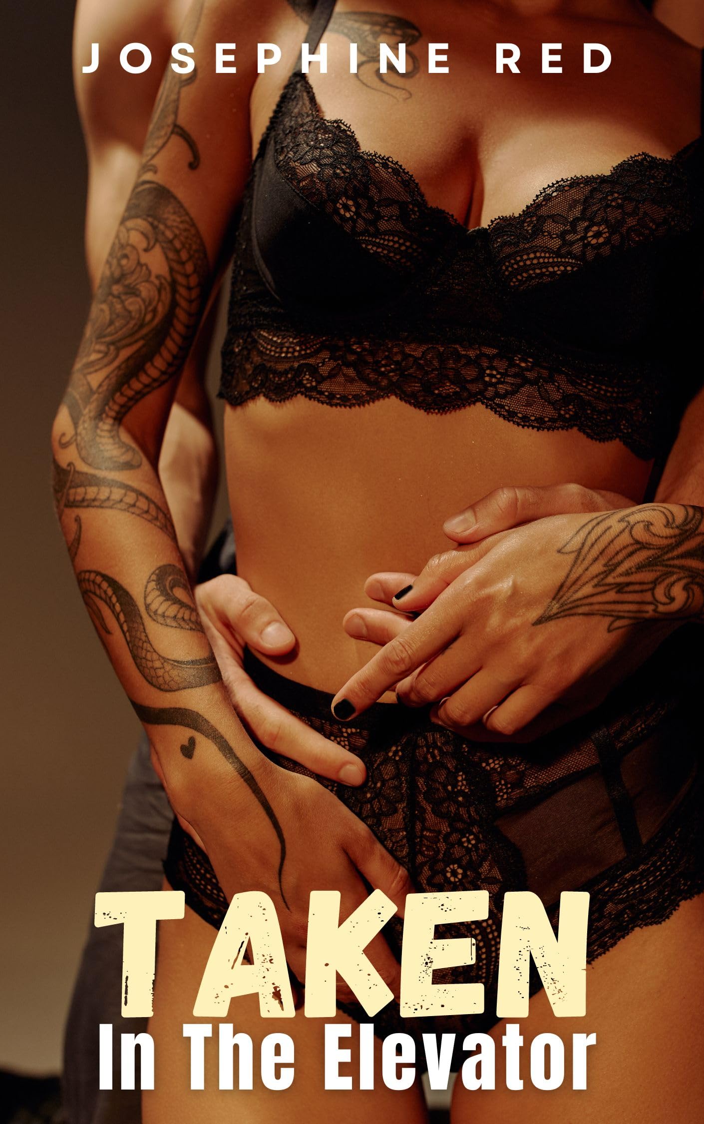 Taken in The Elevator (Kindle Edition)