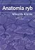 Anatomia ryb by Kilarski Wincenty