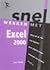 Snel werken met Excel 2000 by Jan Pott