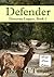 Defender: Contemporary Christian Romance (Donovan Legacy)