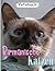 Birmanische Katzen Fotobuch...