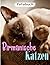 Birmanische Katzen Fotobuch...