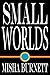 Small Worlds