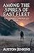 Among the Spires of East Fleet by Auston Jenkins