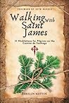 Walking With Saint James by Zebulun Mattos