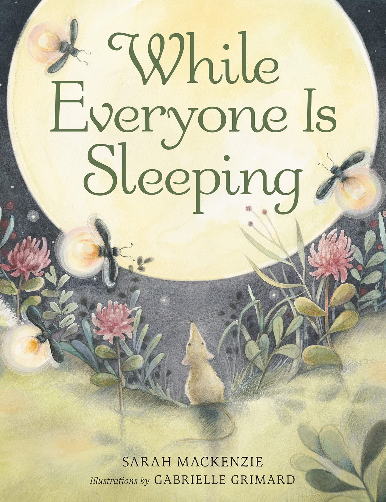 While Everyone Is Sleeping (Hardcover)