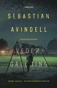 Vedergällning (Östgötamorden, #2)