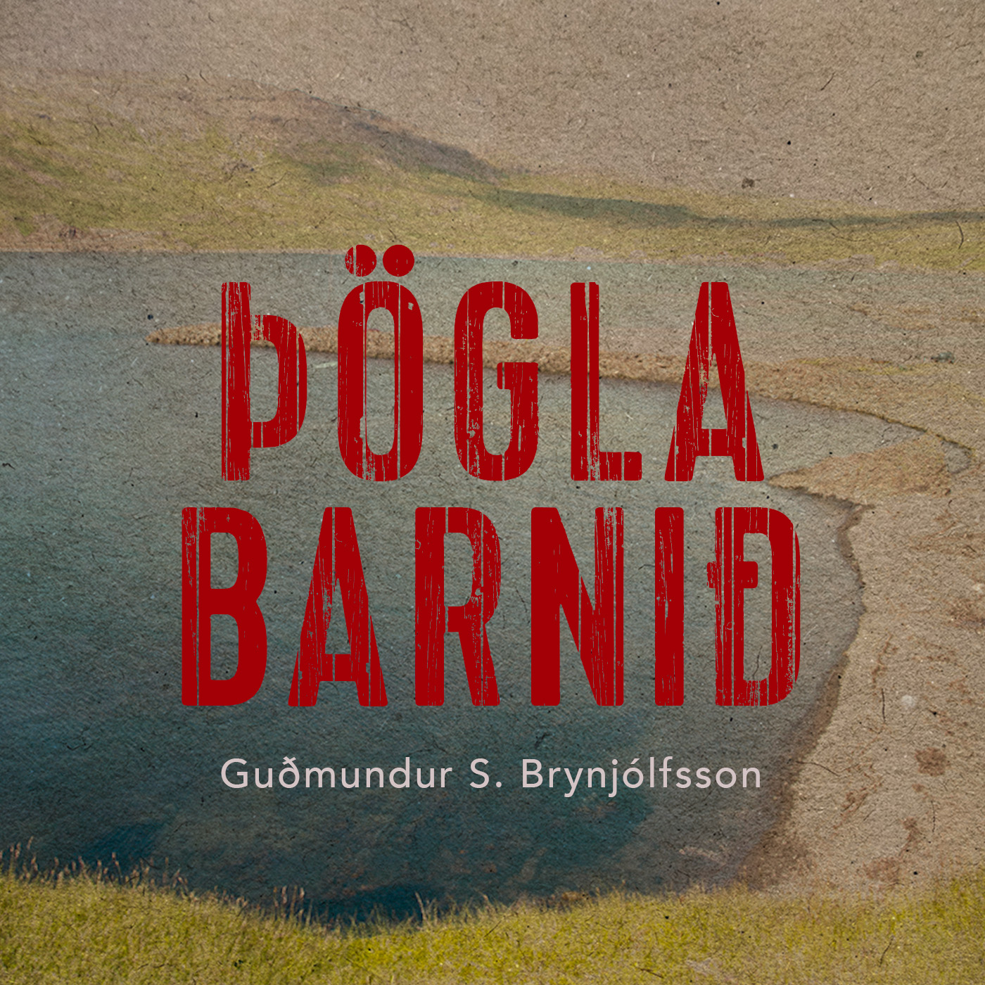 Þögla barnið (Eyjólfur Jónsson, #2)