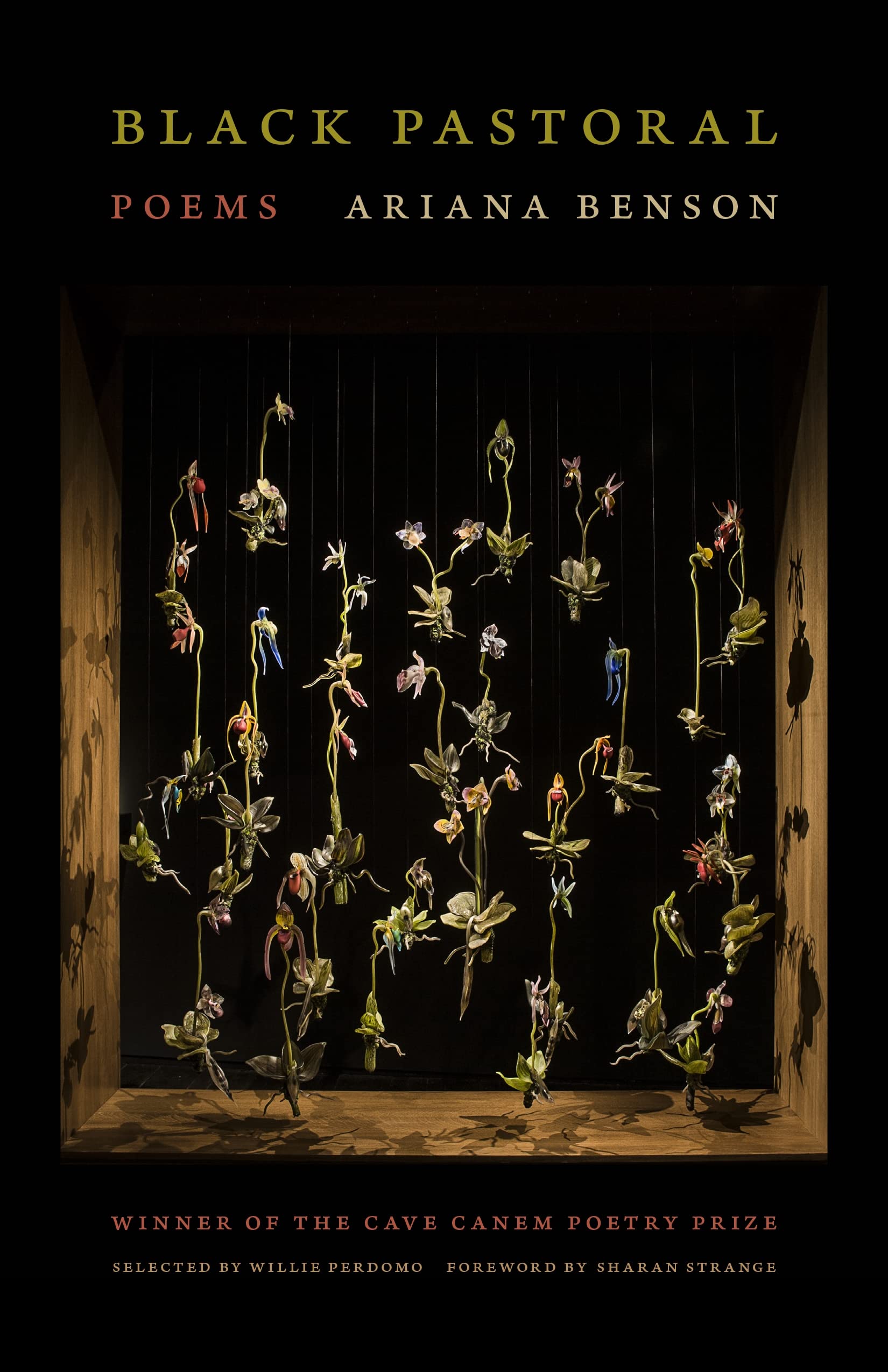 Black Pastoral: Poems (Kindle Edition)