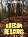Brecon Beacons Fotobuch: Reisen in der Welt mit beeindruckenden Bergbildern | 40+ Seiten zum Dekorieren als Geschenke für Reisende (German Edition)
