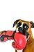 Boxer Breed Notebook by Melissa A Curtis