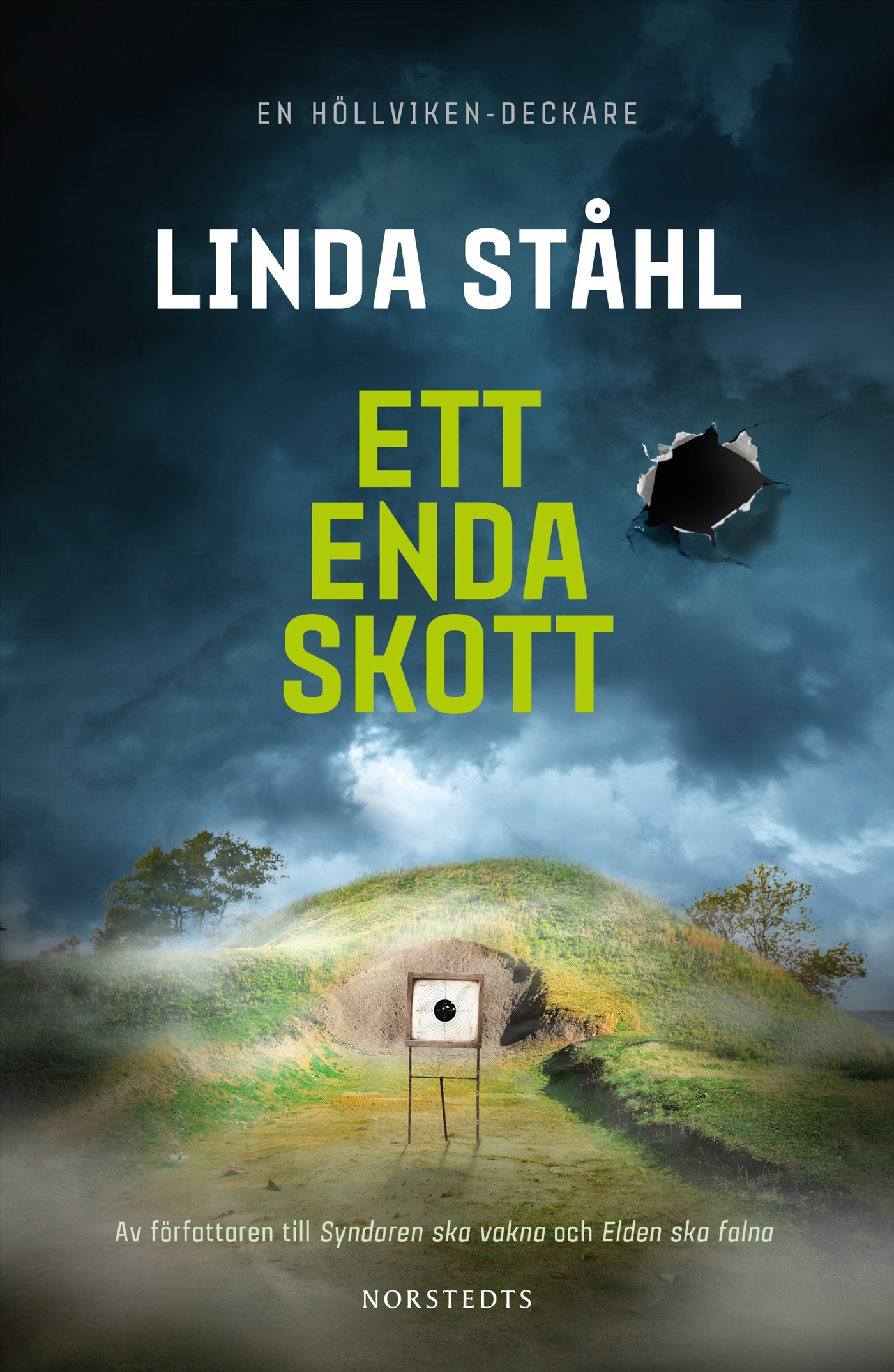 Ett enda skott (Höllviken-deckare, #3)
