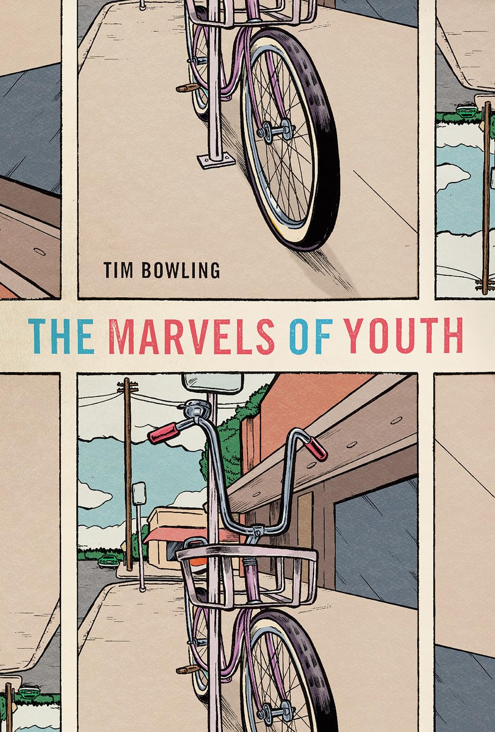 The Marvels of Youth (Paperback)