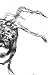 Brain Fulla Roaches