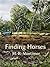 Finding Horses: Maia's Adventure Down The Mountain