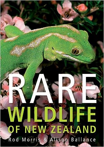 Rare Wildlife of New Zealand