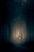 The Darkling Hour