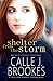 Shelter from the Storm (Finley Creek #2; Texas State Police #2)