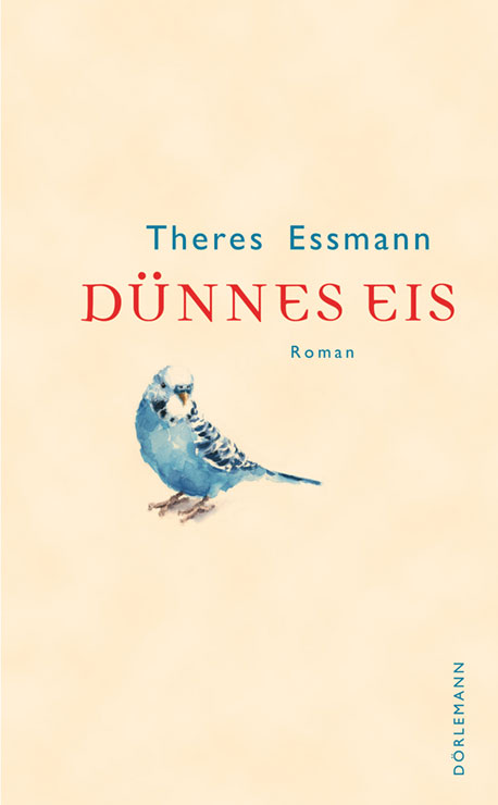 Dünnes Eis: Roman (Hardcover)