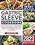 Gastric Sleeve Cookbook 2023 by Jordan  King
