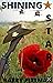 Shining Star
