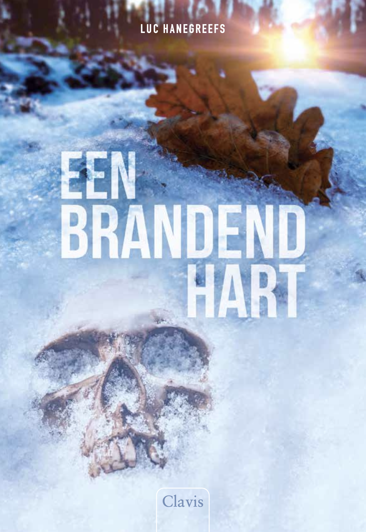 Een brandend hart