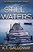 Still Waters (O'Malley & Swift Crime Thriller #8)