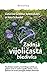 Zadnja vijoličasta bledivka