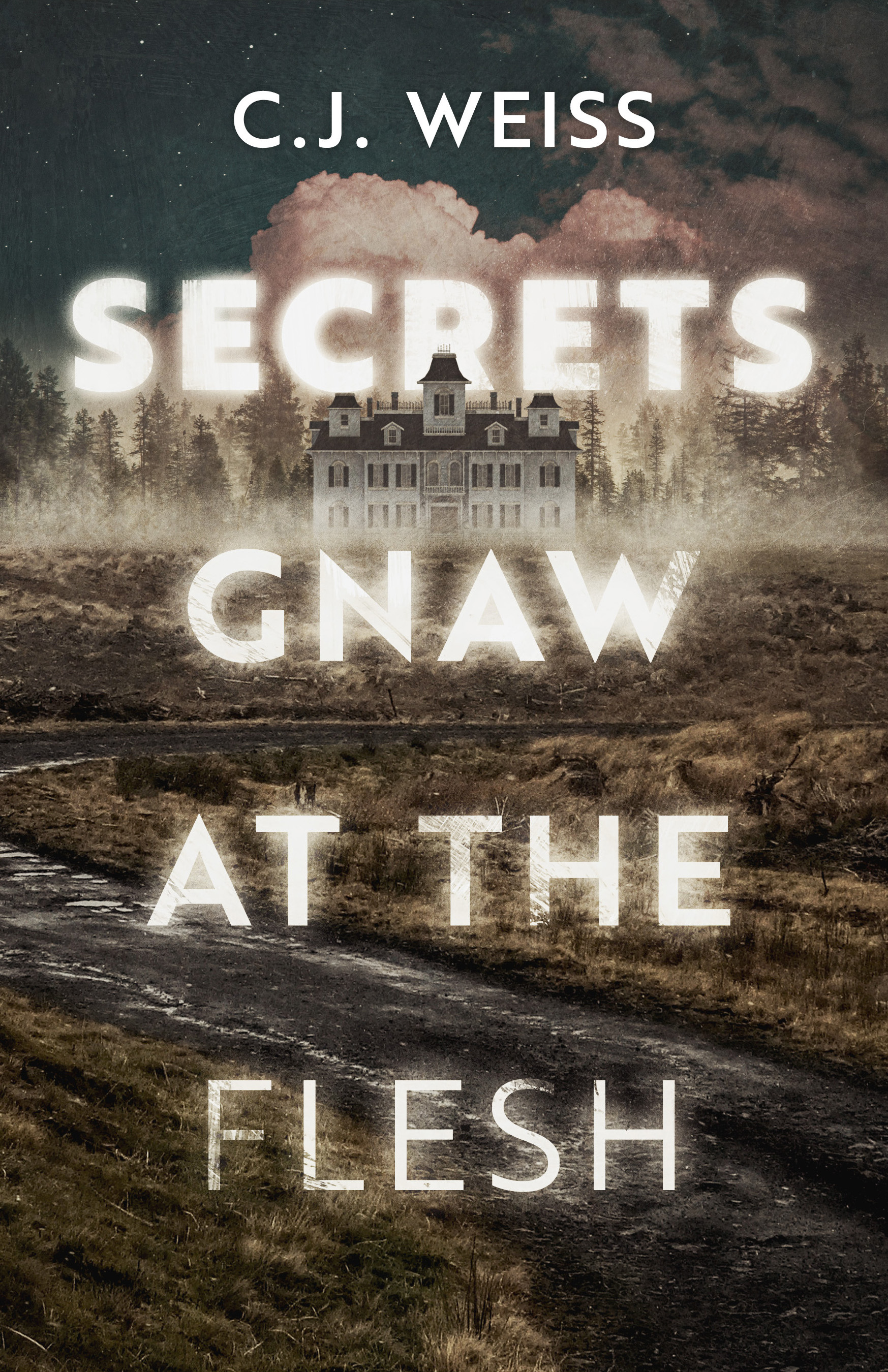 Secrets Gnaw at the Flesh (Paperback)