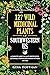 127 Wild Medicinal Plants of Southwestern US: A complete guide for plant identification, sustainable foraging,preparation methods,and uses