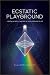 Ecstatic Playground by Allison Holley