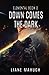 Down Comes the Dark: Elemental Book 2