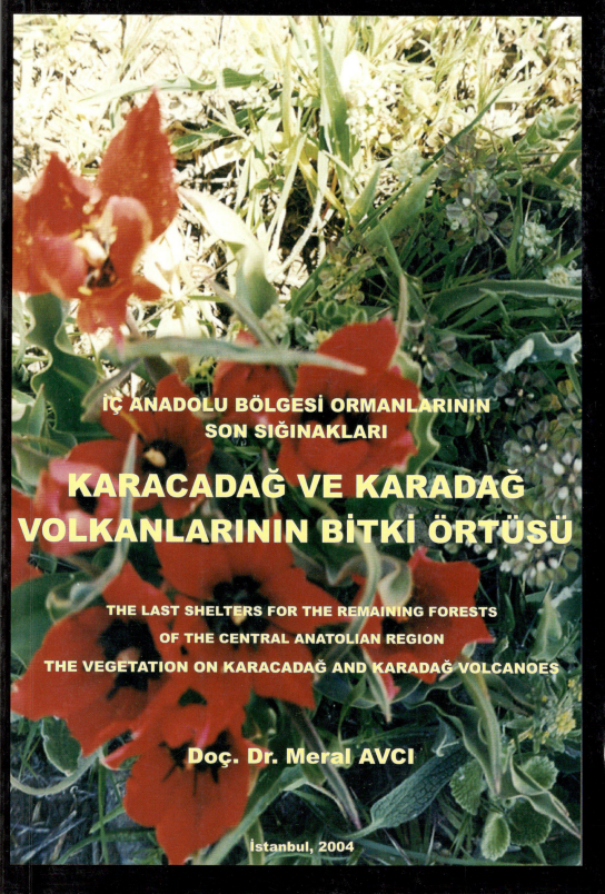Karacadağ ve Karadağ Volkanlarının Bitki Örtüsü