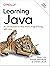 Learning Java: An Introduction to Real-World Programming with Java