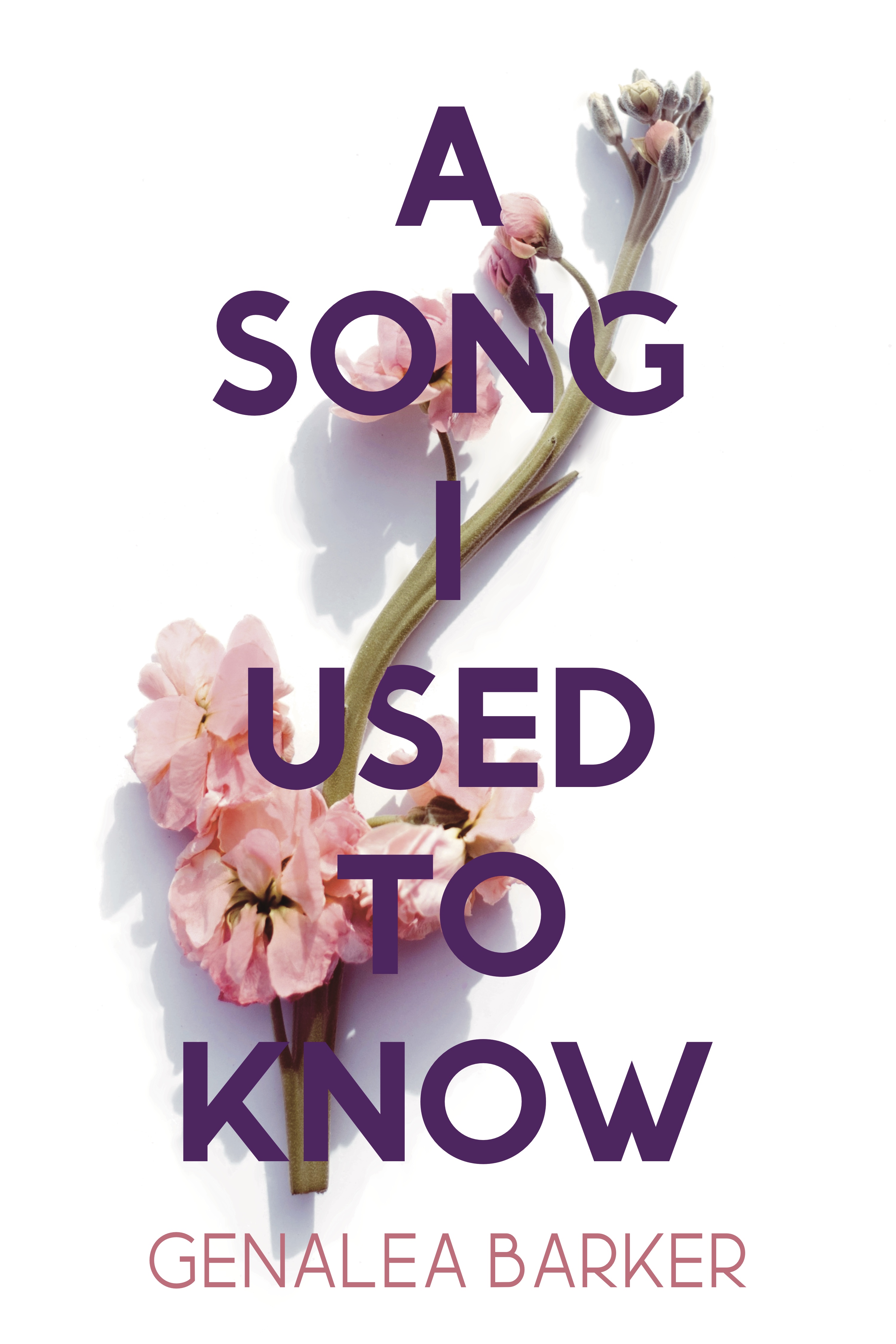 A Song I Used to Know (Paperback)