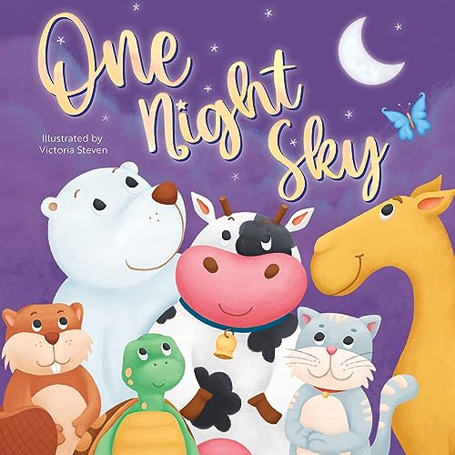 Little Hippo Books One Night Sky - Children's Hardcover Picture Book (Hardcover)