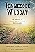 Tennessee Wildcat: On the Trail of Laura Ingalls Wilder's Mr. Edwards