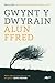 Lolfa Gwynt y Dwyrain (Welsh Edition). by Alun Ffred Jones
