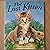 The Lost Kitten