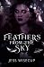 Feathers from the Sky (The Hunting Vengeance Duet #1)