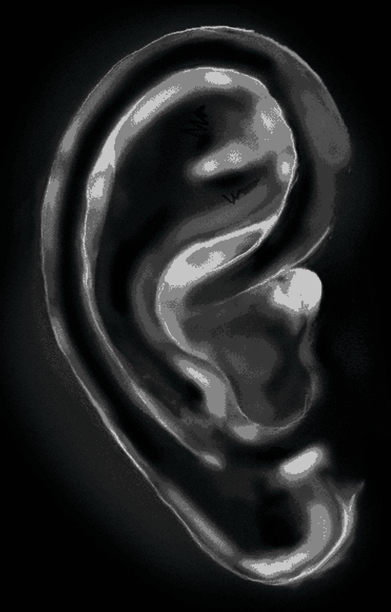 Kurčiųjų respublika